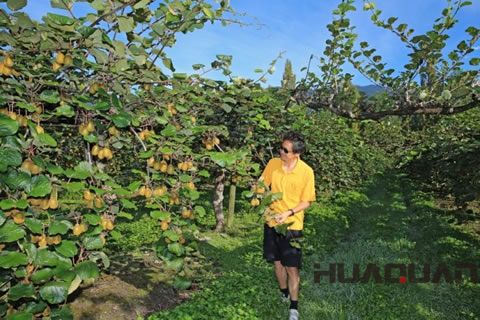HͰl(f)늙C(j)MSAȫ؄eP(gun)ע